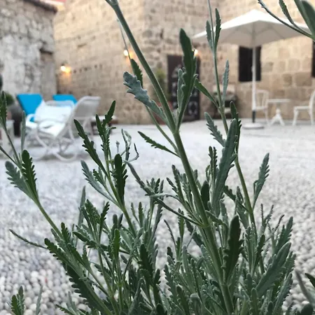 Πανσιόν Saint Artemios And Oriental Rhodes City